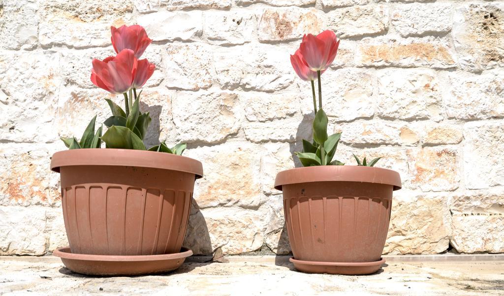 Masseria Gravelle Turi Ngoại thất bức ảnh