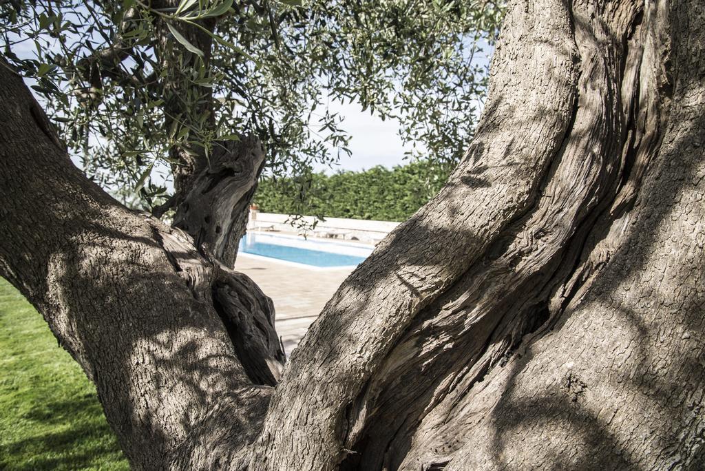 Masseria Gravelle Turi Ngoại thất bức ảnh
